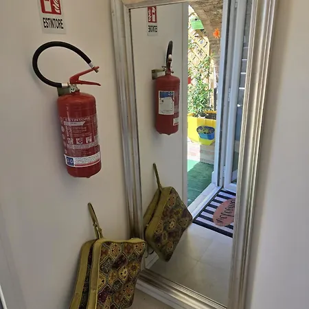 Miamihouse Essential Vasto